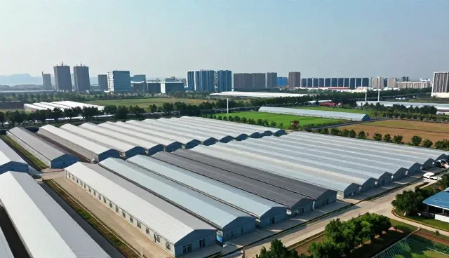 系统集成选型中的差异化构建策略